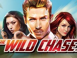 The Wild Chase screenshot